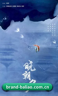爆料网 APP
